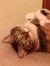 Geraldine