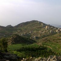 محمود اليزيدي