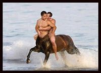 جمال عبد العزيز