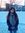 Mary Rose