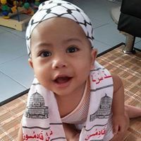 Mohd Firdaus