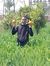 Ahmed A...