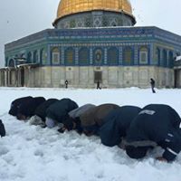 عبدالمنعم الجعبري