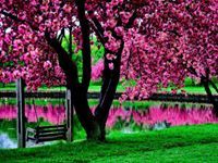 עדן יגודייב