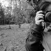 พิมลพรรณ ผลขาว