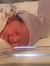 Ahmed A...