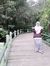 Dewi An...