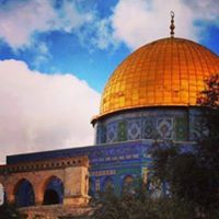 الزهرآء القسآمية