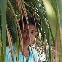 Mondall Mohammad Arif