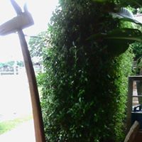 วินัย แก้วมุณีวงศ์