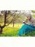 Ayesha Hms