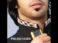 علآوي القرني