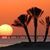 غروب الشمس