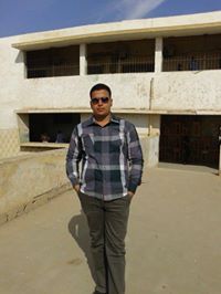 الصقر الشاهينى