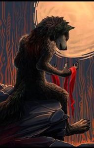 Xemáykéo MùaĐông Tới