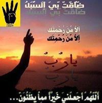 Amr Elshamy