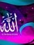 Iqra Ayub