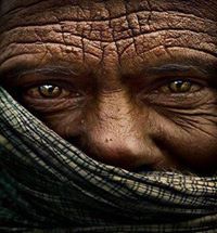 سيد ﻫﻤﺒﺮﺟﺮ