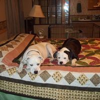 Kathy Potavin-Carson