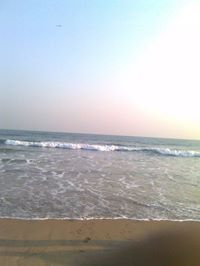 Shailesh Singh