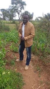 Robert Wandithia