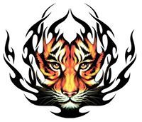 Mohamed Tiger