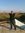 Ahmed M...