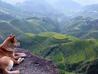 ክፍለ ላል