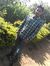 Vikas B...