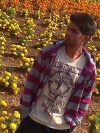 Desam Reddy