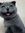Matchedmeow | 5 comments