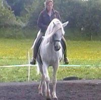 Lenamaria Bernhardsdotter