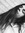 Kaitlyn Mostyn (kkaity_) | 5 comments