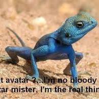 Jeronimo Rosas Huerta