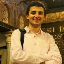 Hatem El-Sheemy