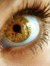 Geekfork