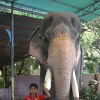 Vignesh Ramachandran