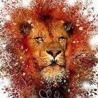 Rosa Valle-St. Andre