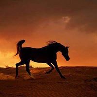 Amjed Fakhet
