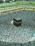 Bushra ...