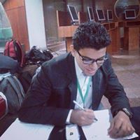 Khaled Abd Almaneim