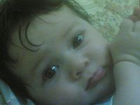 Mohmmed Hassan
