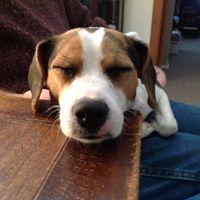 Miriam Koch Stratton