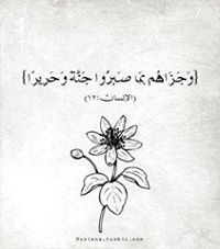 Israa Shawqi