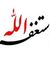 Ahmed G...