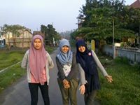 Vina Wavi