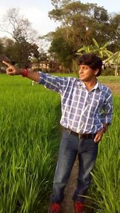 ঝরা পাতা