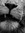 Lee Djinn