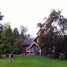 Mikaela Forsman-Sten