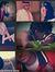 Anmar Vic